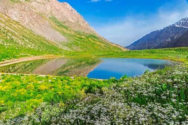 دلکش آمد نو بهار